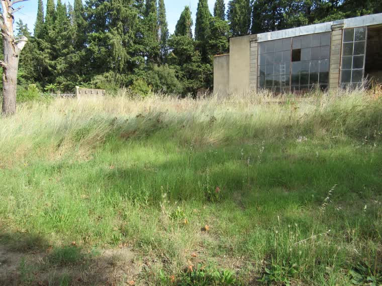 Ancien bâtiment vitré envahi par la végétation, relevé avant projet de réhabilitation